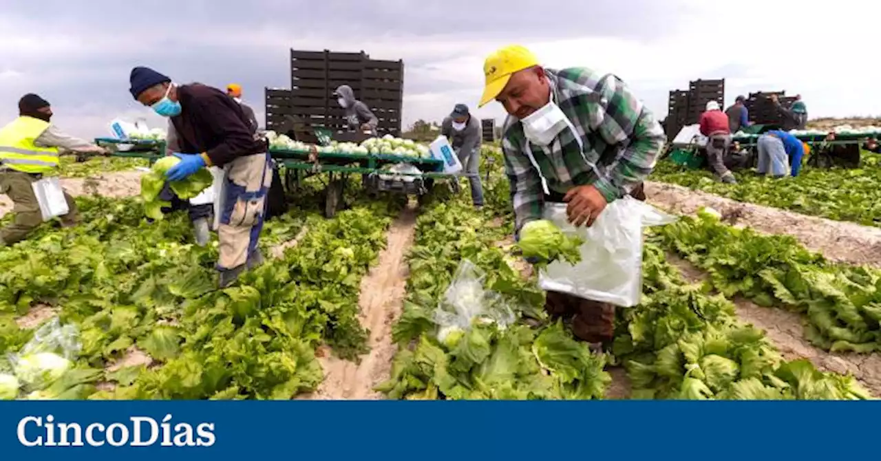 Perspectivas mundiales del mercado laboral en 2023: menos empleos y peor pagados