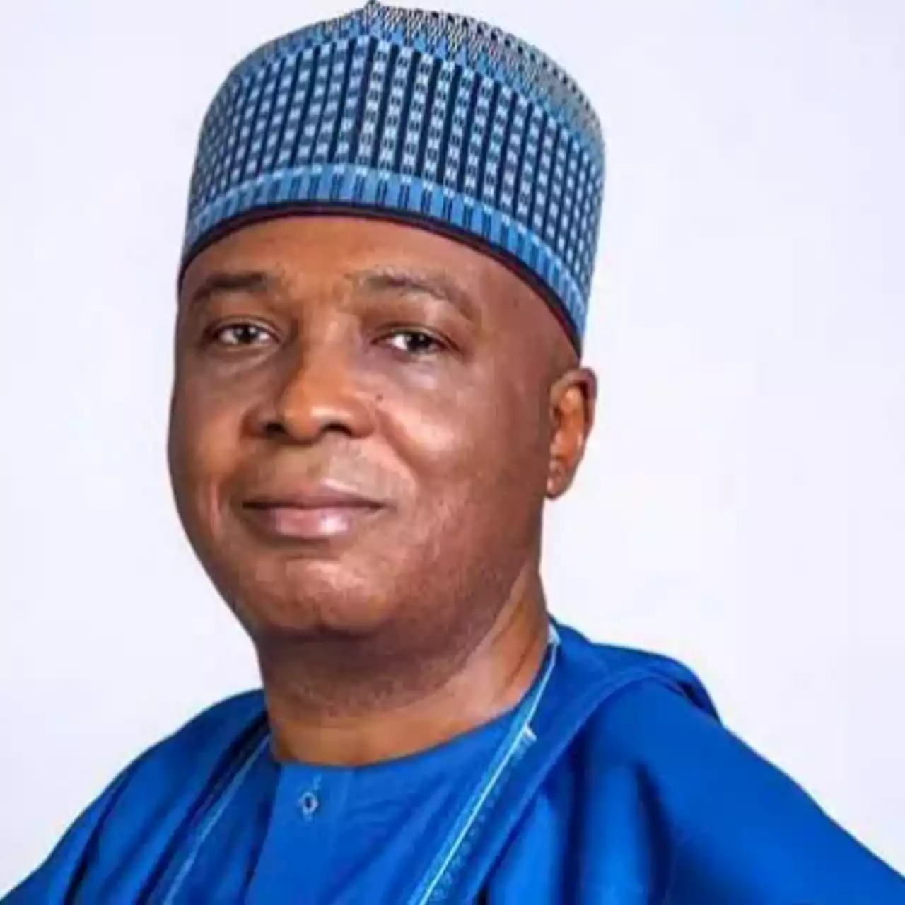 2023 presidential election: Labour Party is our challenge - Saraki names four zones PDP will win