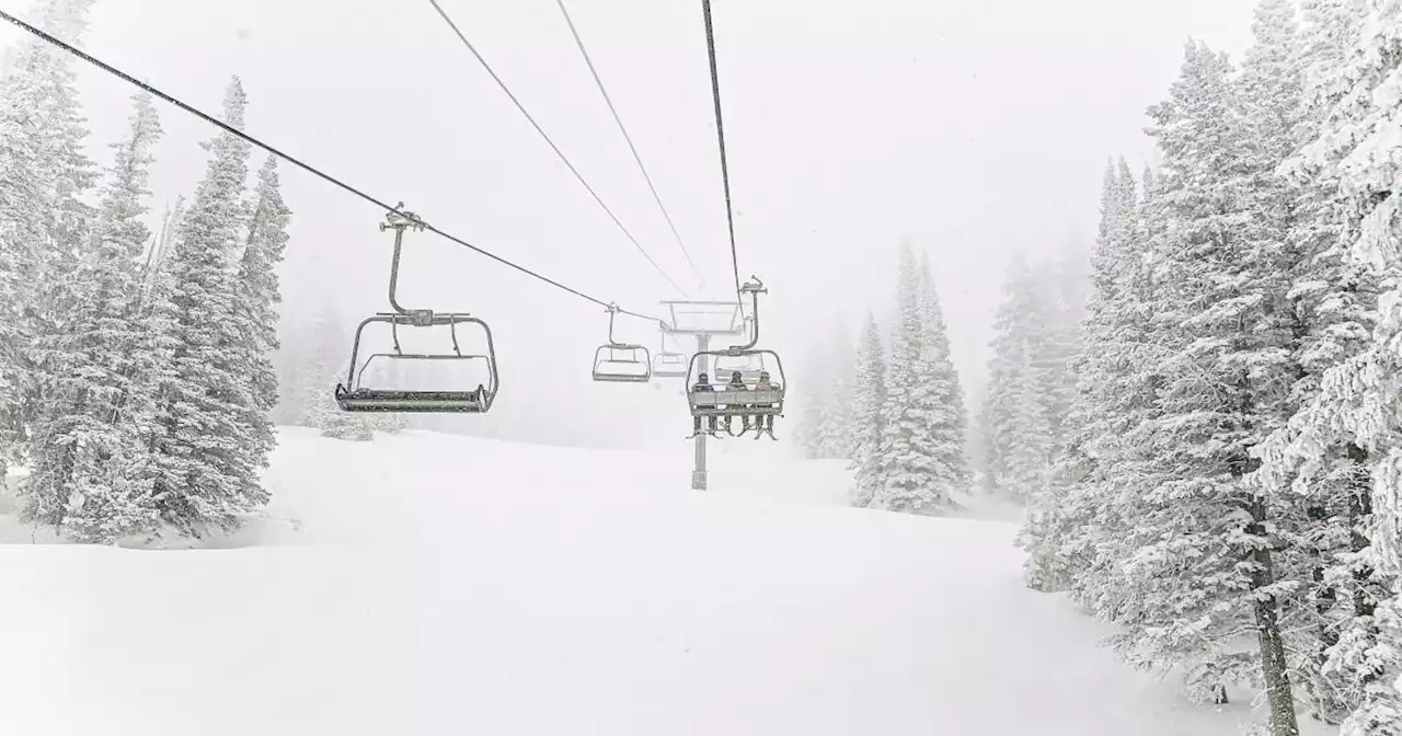 Skier dies after crash into tree well at Steamboat Ski & Resort