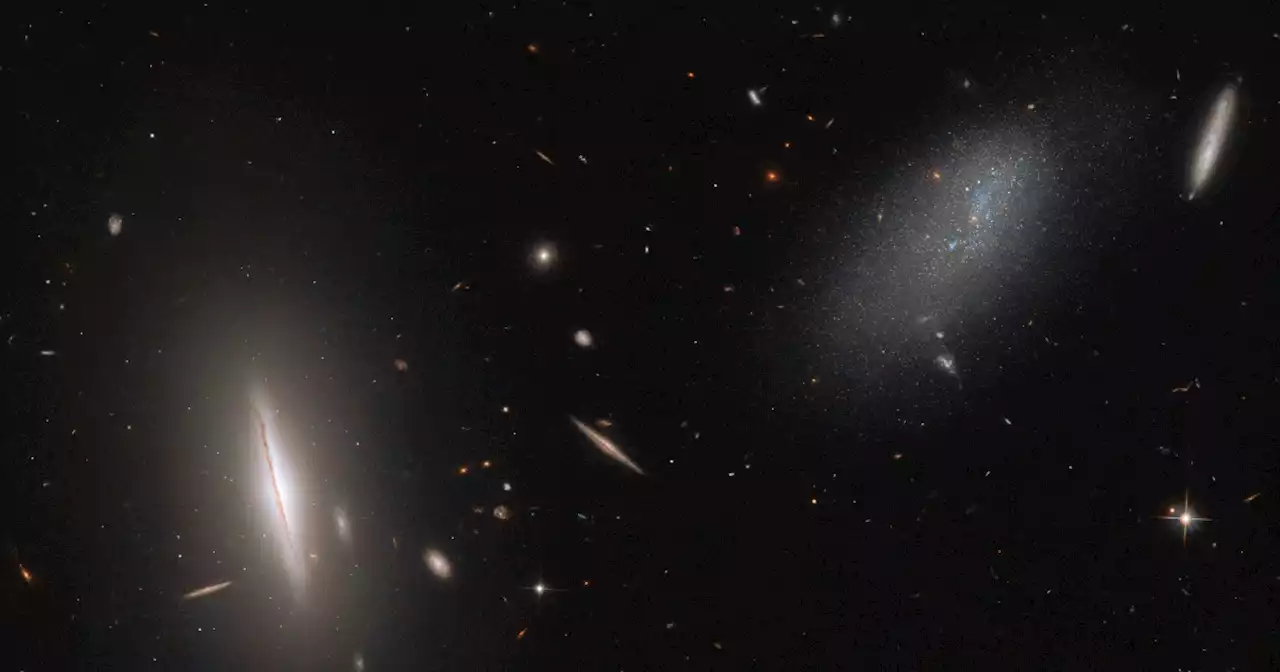 Hubble snaps an image of galaxies in our cosmic backyard | Digital Trends