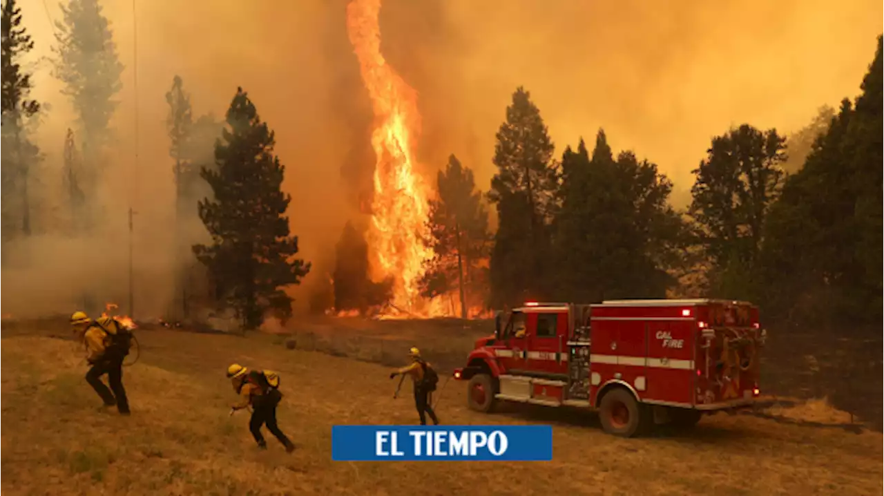 La Tierra sigue calentándose peligrosamente: 2022 fue el sexto año más cálido