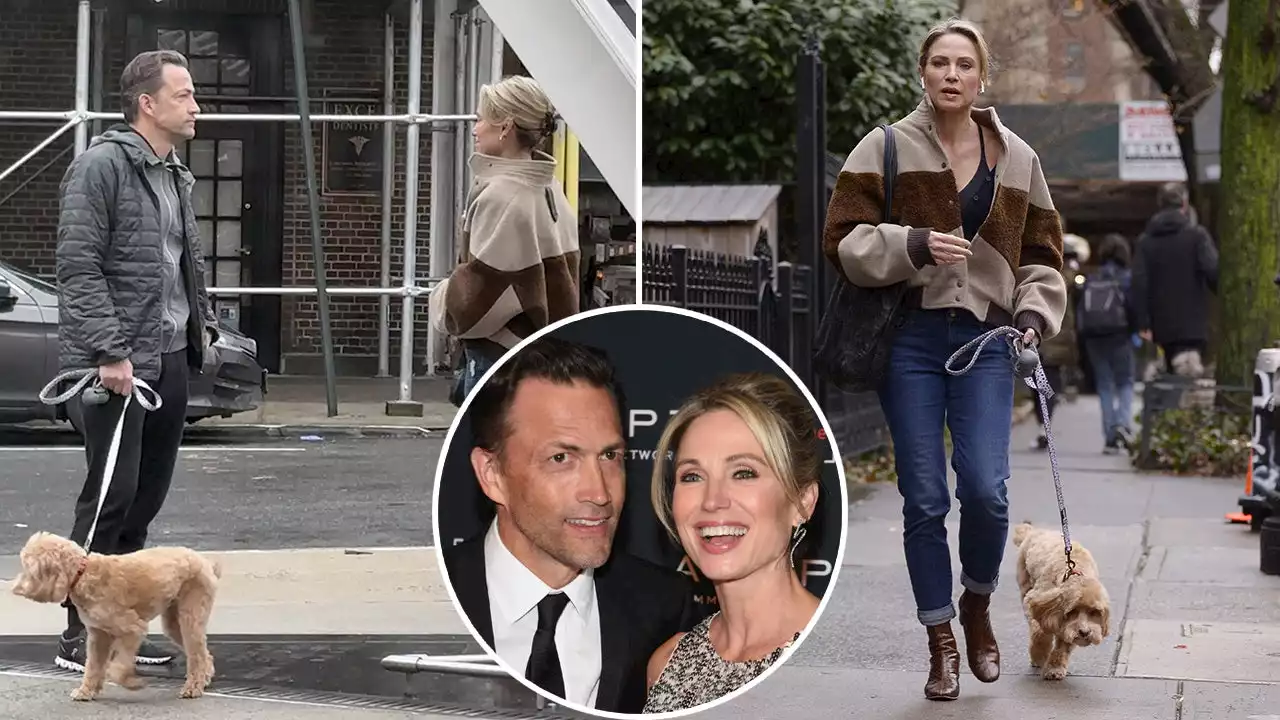 Andrew Shue reunites with estranged wife 'GMA' host Amy Robach amid reported T.J. Holmes affair