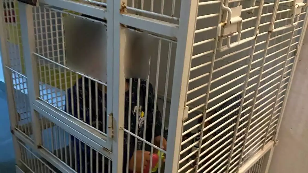 Israeli police find 1-year-old in cage while conducting drug raid