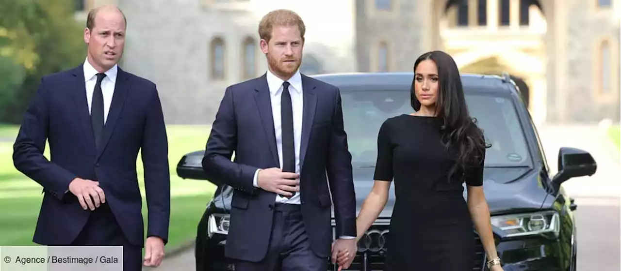 Le prince William « totalement flippé » : sa toute première rencontre avec Meghan ébruitée - Gala