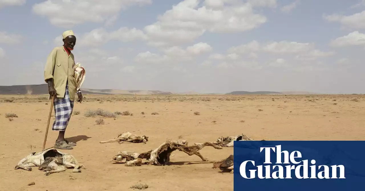 Warning of unprecedented heatwaves as El Niño set to return in 2023