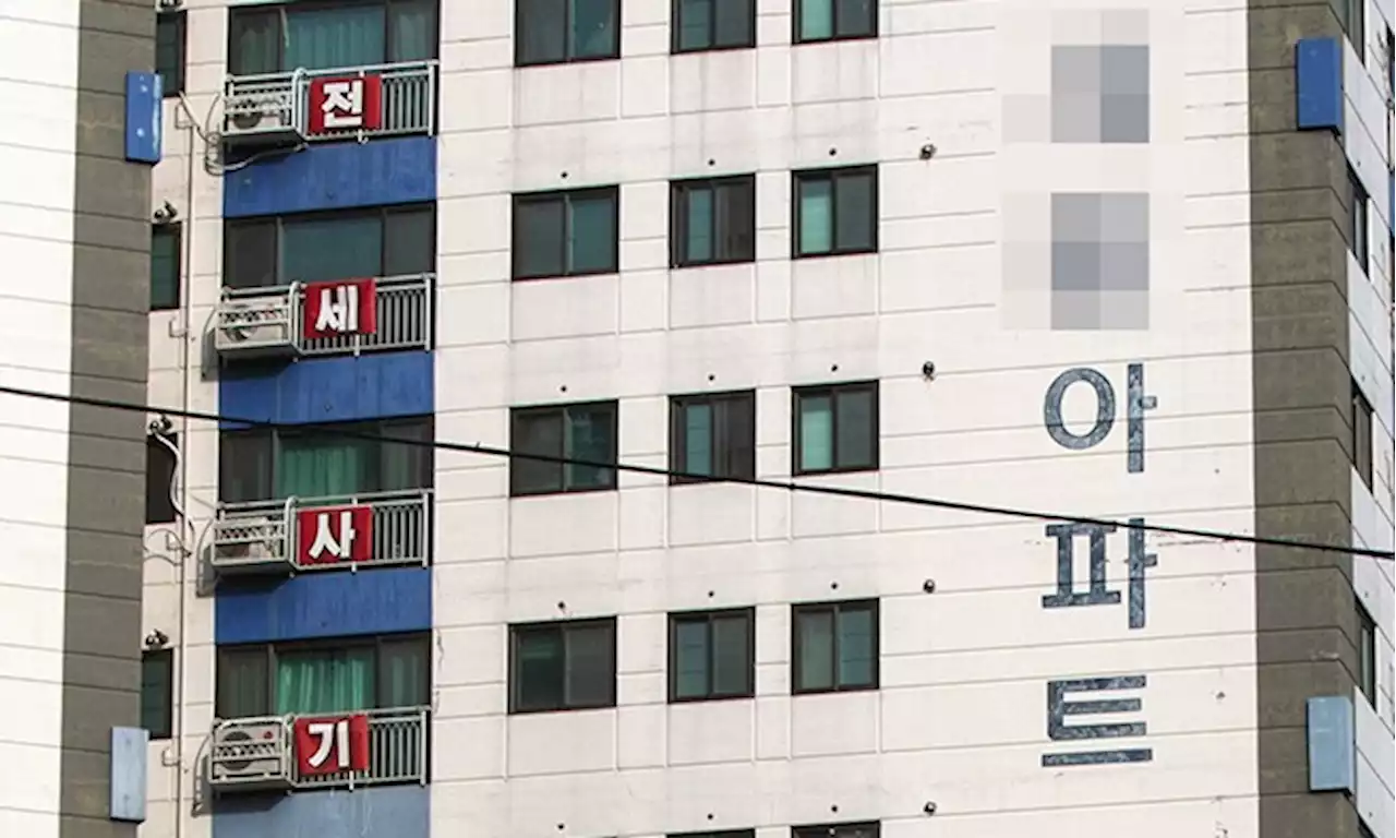 직원 A는 집주인, B는 중개사…그 회장의 전세사기 ‘역할극’