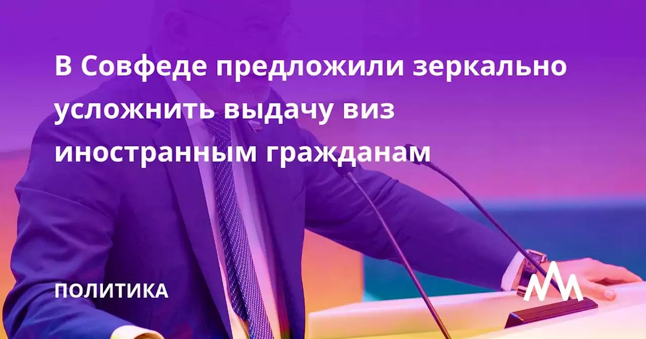 В Совфеде предложили зеркально усложнить выдачу виз иностранным гражданам