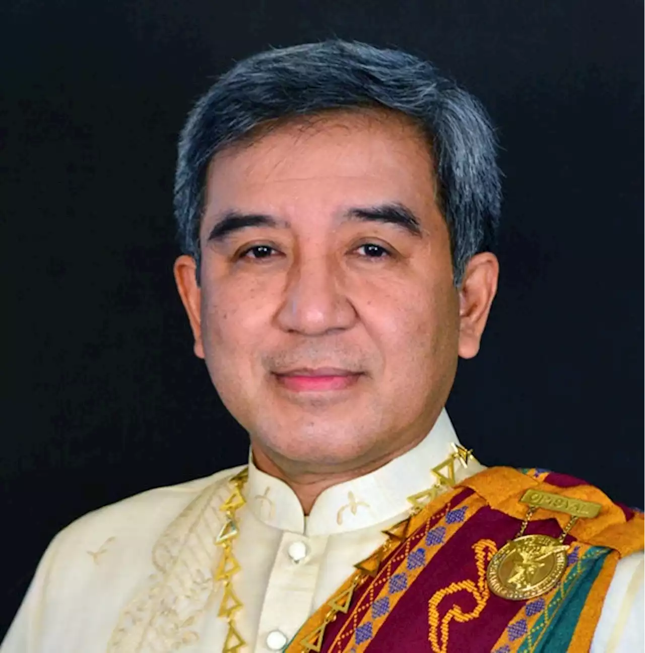 Nemenzo eyes 2nd term as UP Diliman chancellor