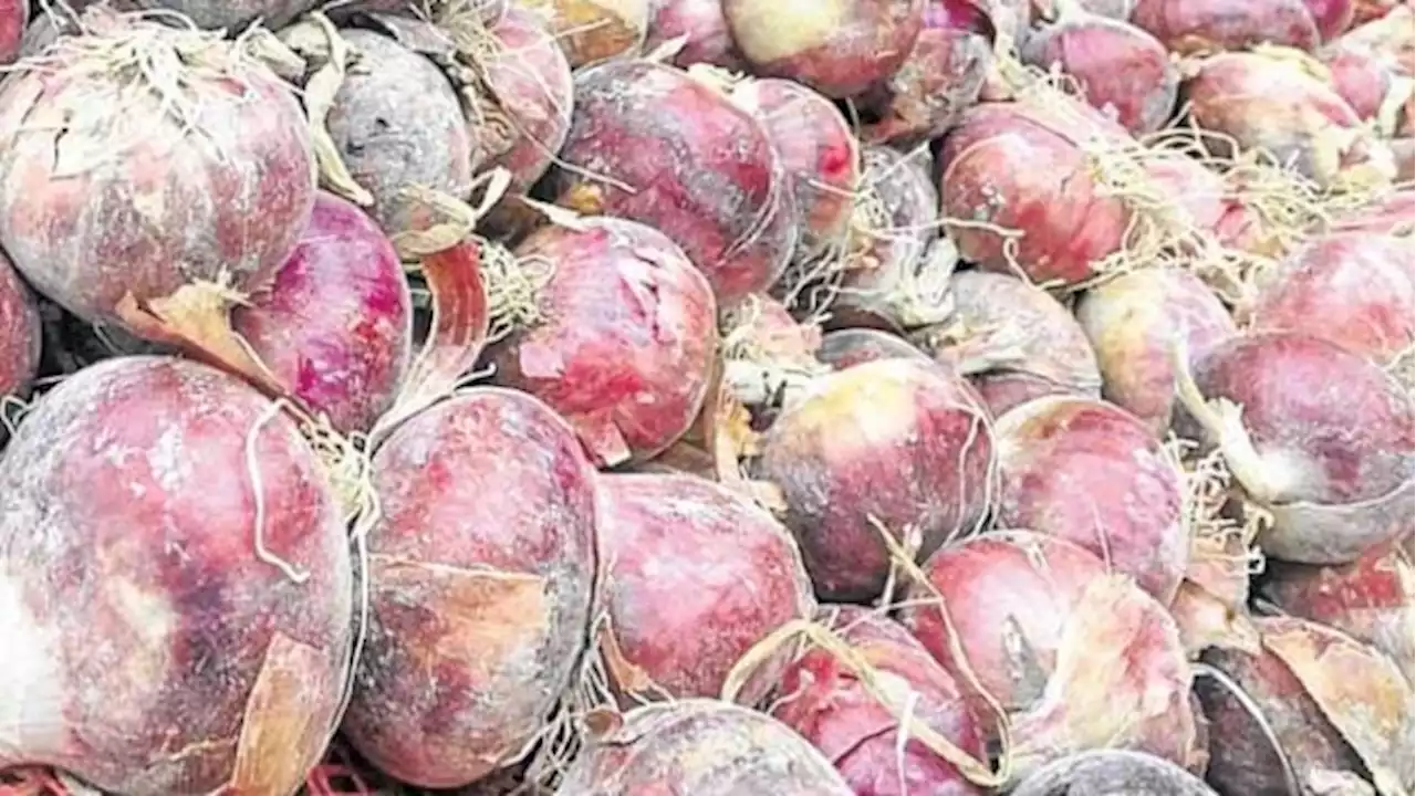 Onions sold at P700 in markets bought for P8-P15 a kilo from farmers, says agriculturist