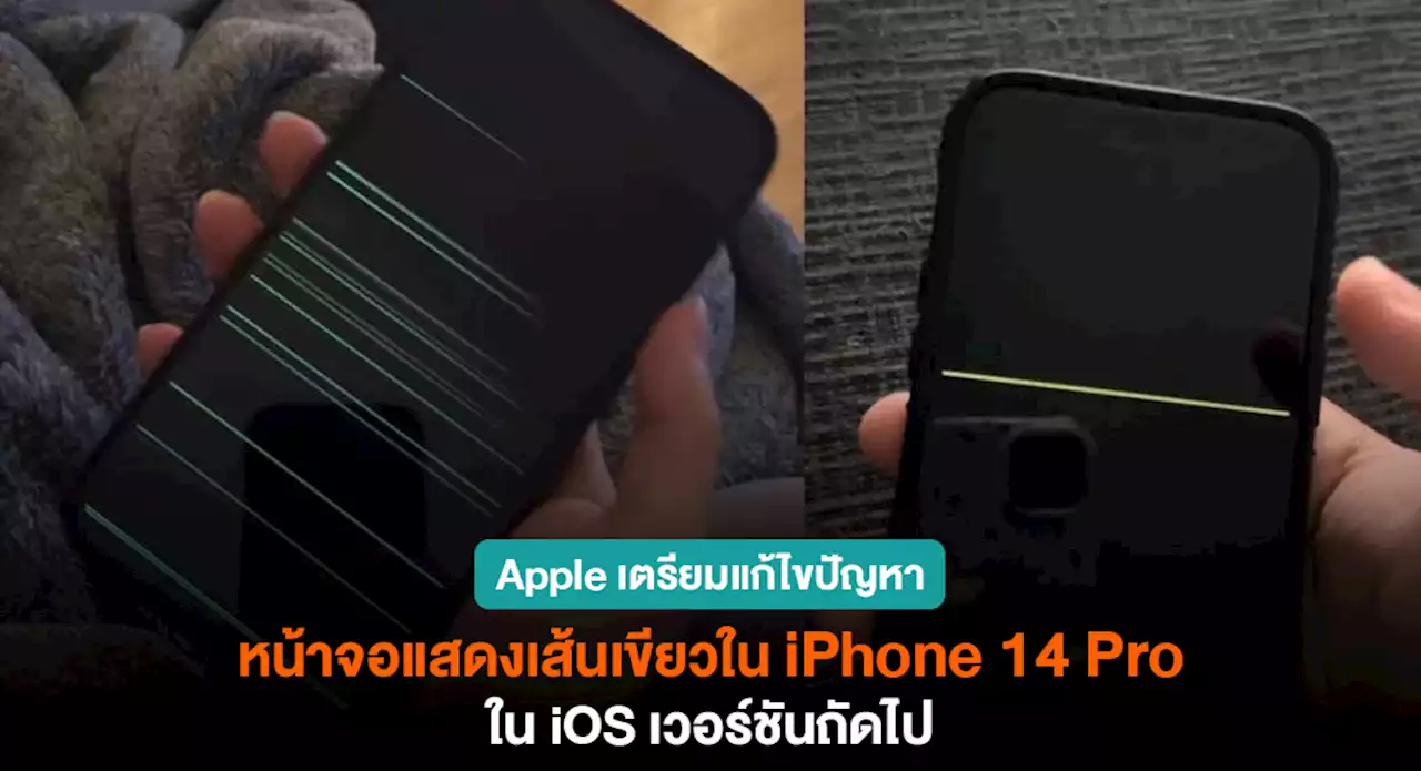 Apple เตรียมแก้ปัญหาจอเส้นเขียวใน iPhone 14 Pro ใน iOS เวอร์ชันถัดไป