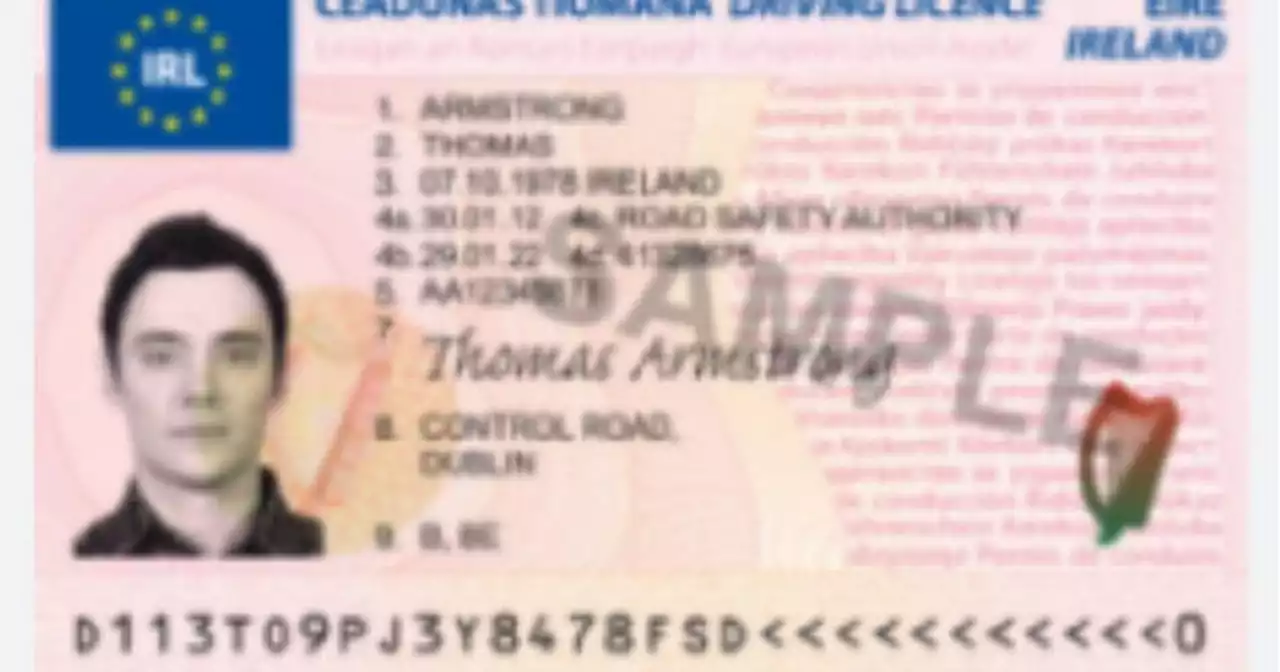 Gardaí in urgent warning to drivers over fake driver licence scheme in operation