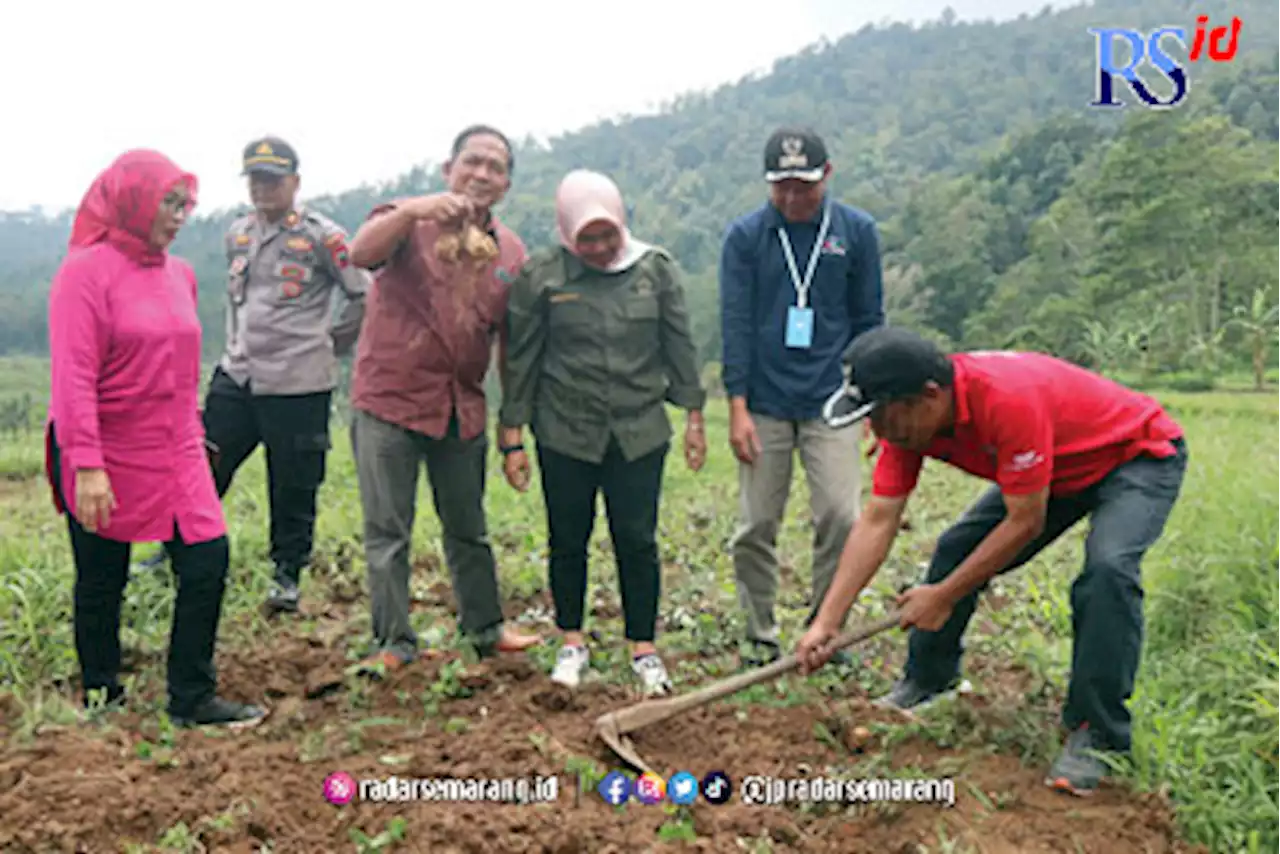 Desa Sepakung Wujudkan Wisata Pertanian