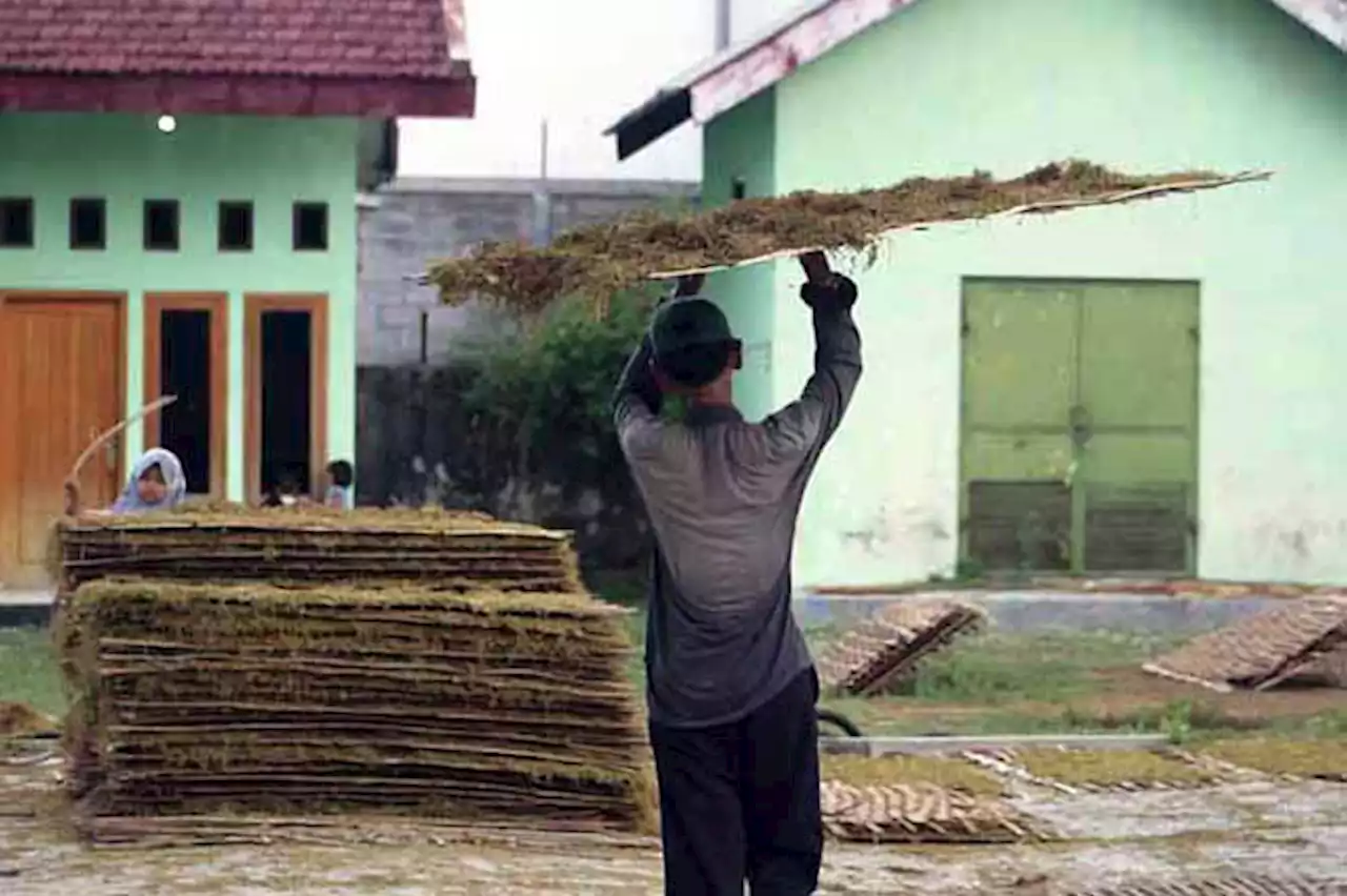 Target Bangun 12 Gudang untuk Lanjutkan Kawasan Industri Tembakau di Paiton