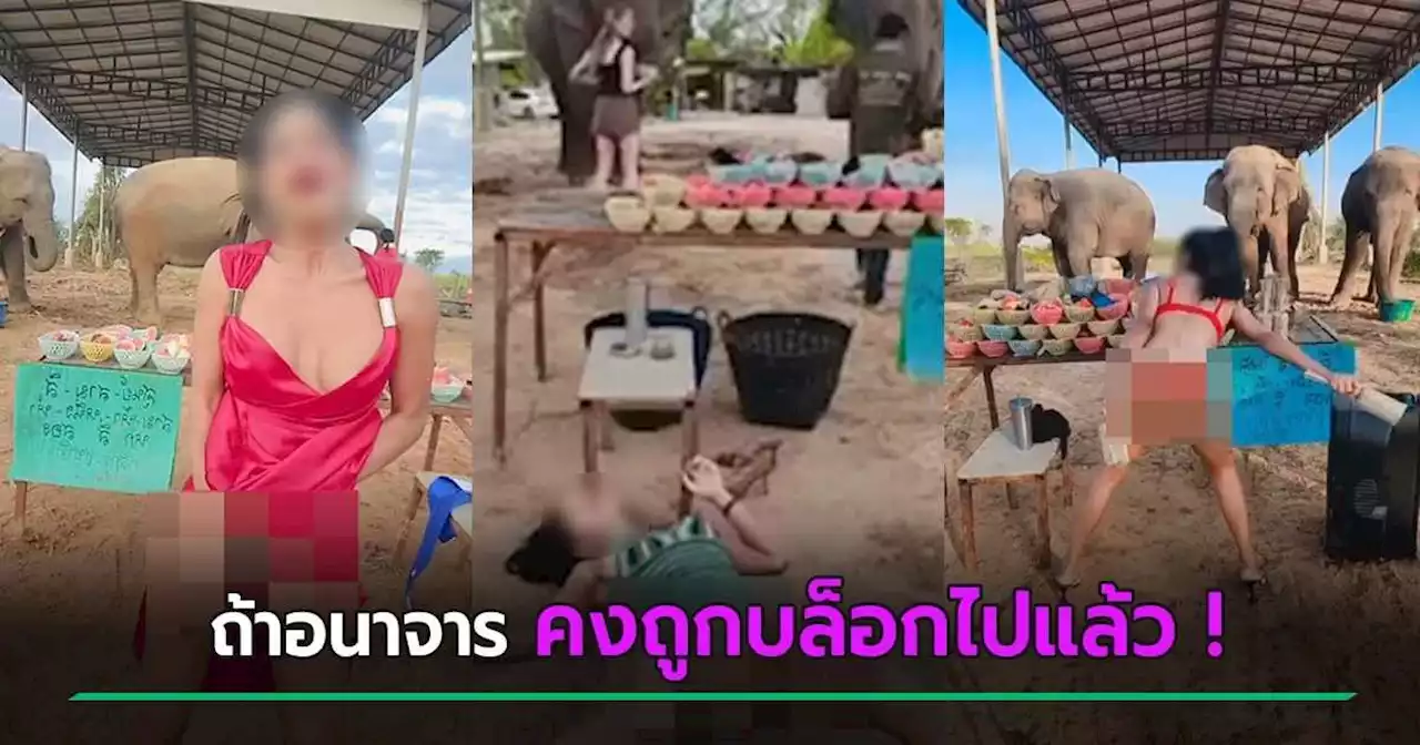 เน็ตไอดอลแก้ผ้า-โชว์แหกขา ช่วยไลฟ์ขายอาหารช้าง คนสับอนาจาร เจ้าของบอก ไม่ !