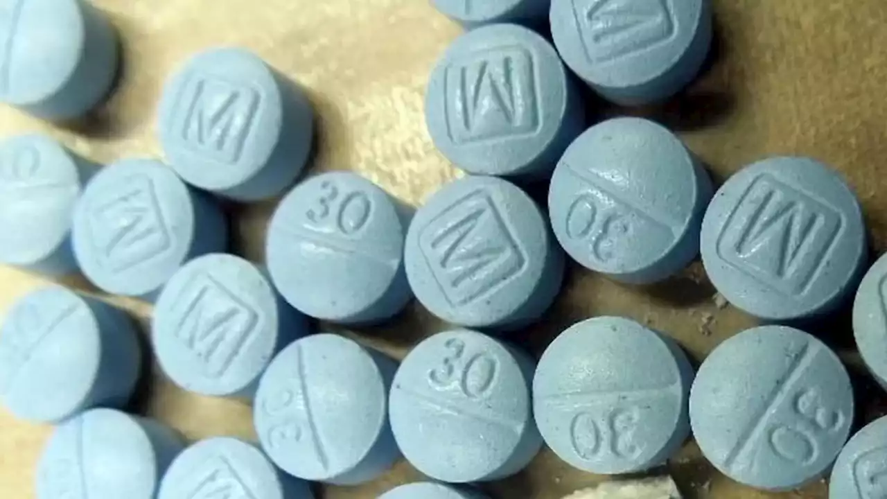 Fentanyl fuels record homeless deaths in Seattle area