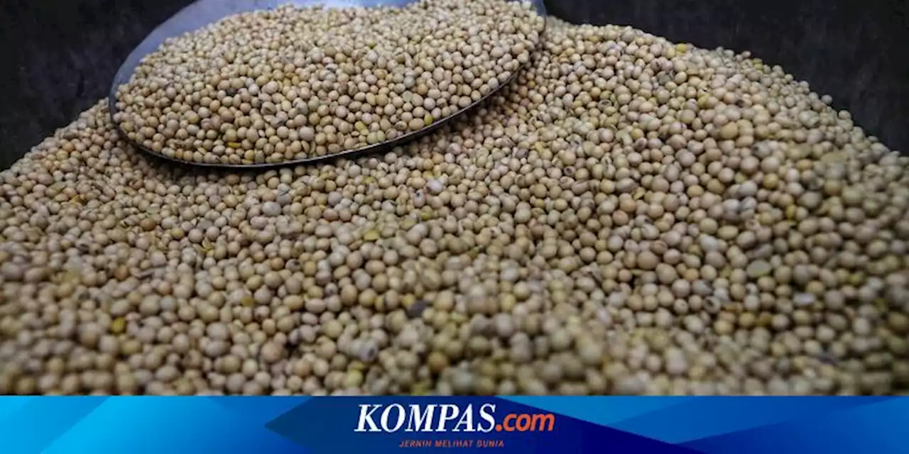 Penjelasan Bos Bulog Soal Telat Impor Kedelai