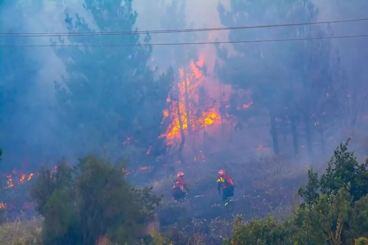 Feroz incendio en un cerro de El Hoyo, en Chubut: ordenaron la evacuación de la zona