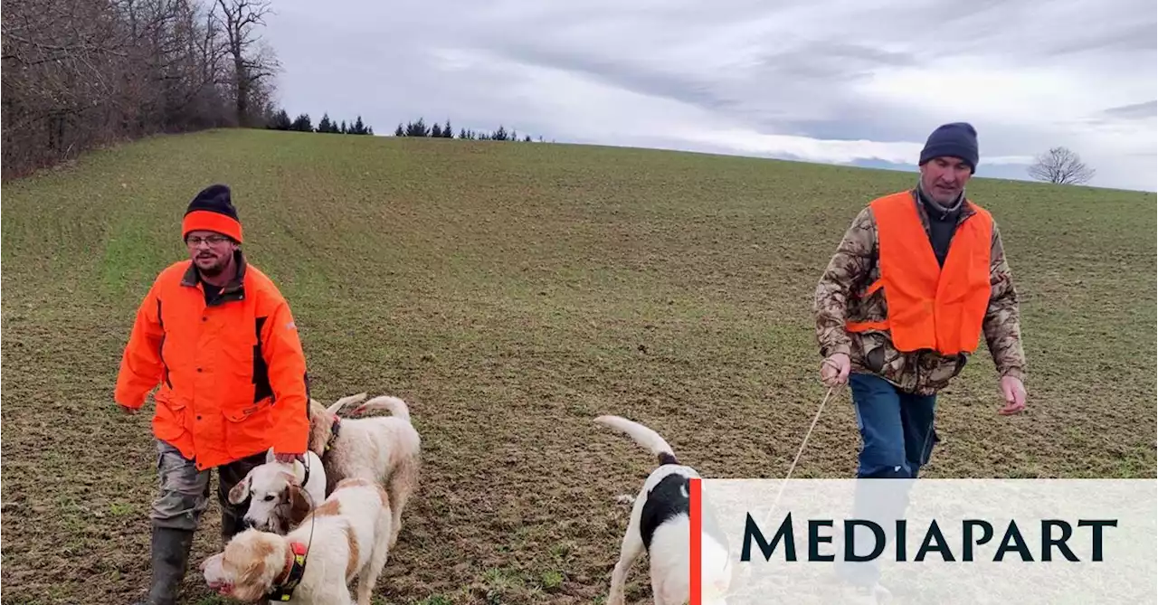 Interdiction, sécurité : rencontre avec des chasseurs du Puy-de-Dôme après une battue au renard