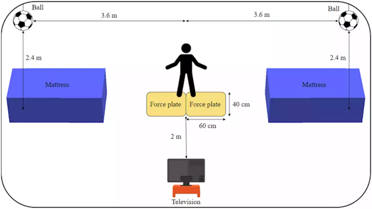 Penalty feet positioning rule modification and laterality effect on soccer goalkeepers’ diving kinematics - Scientific Reports