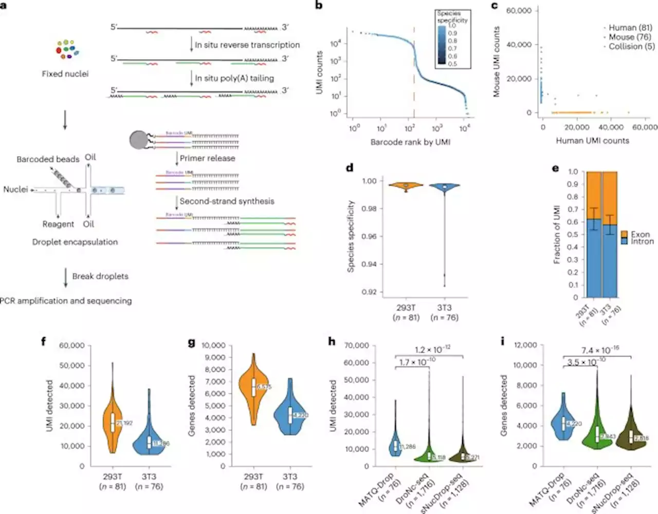 Droplet-based transcriptome profiling of individual synapses - Nature Biotechnology