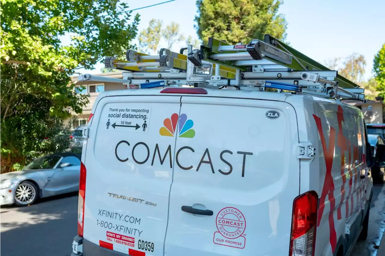 Fallen Tree Causes Outage for Half Moon Bay Comcast Customers