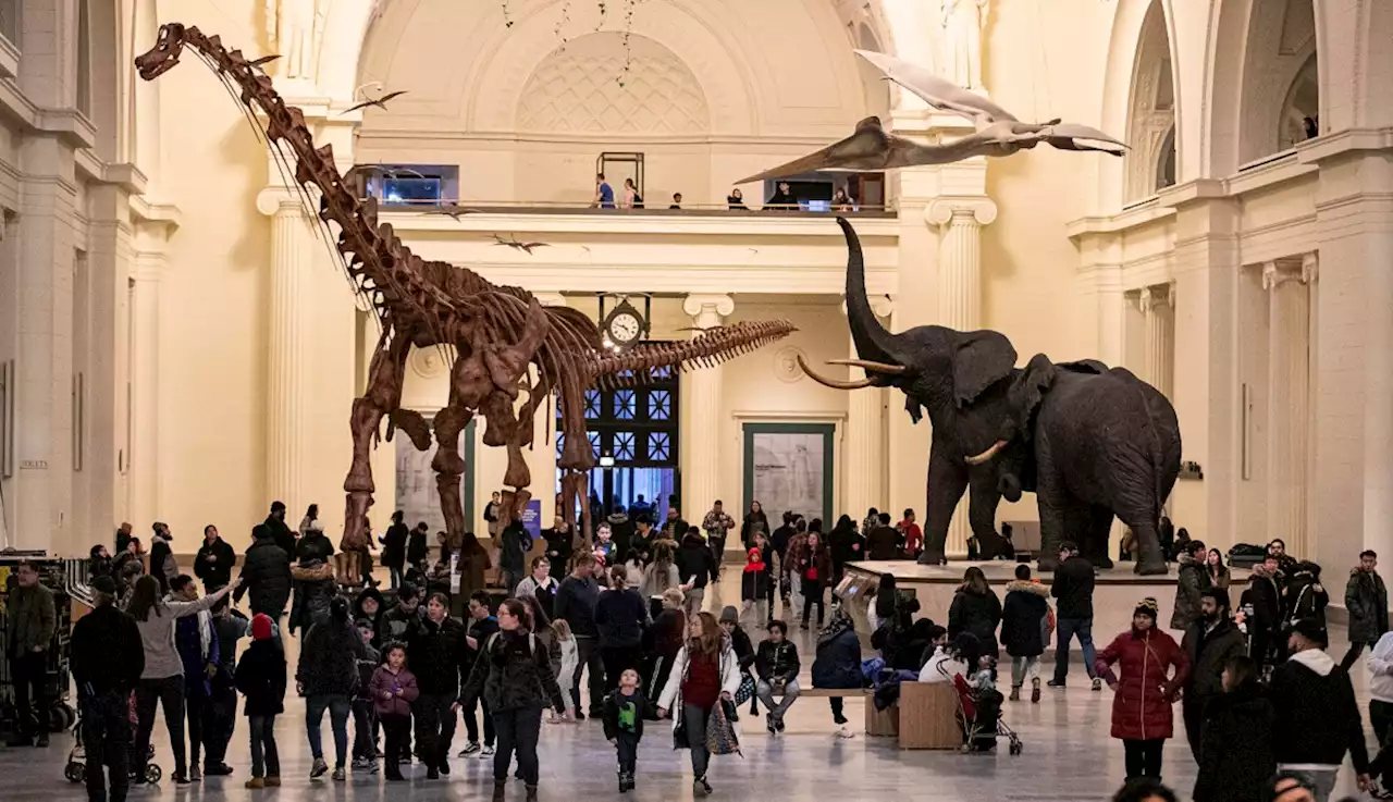 Free Field Museum Tickets Have ‘Sold Out' Monday, But More Free Days to Come