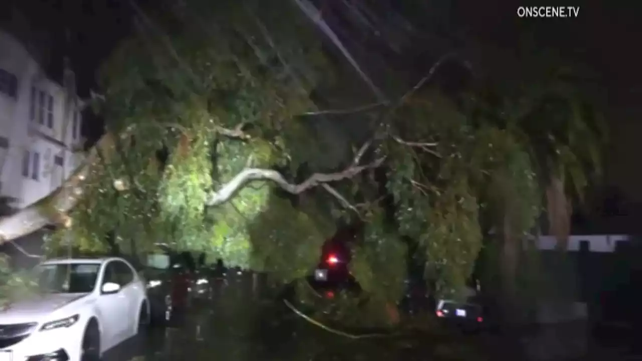 Storm Topples Trees, Floods Roads and Knocks Out Power Across San Diego County