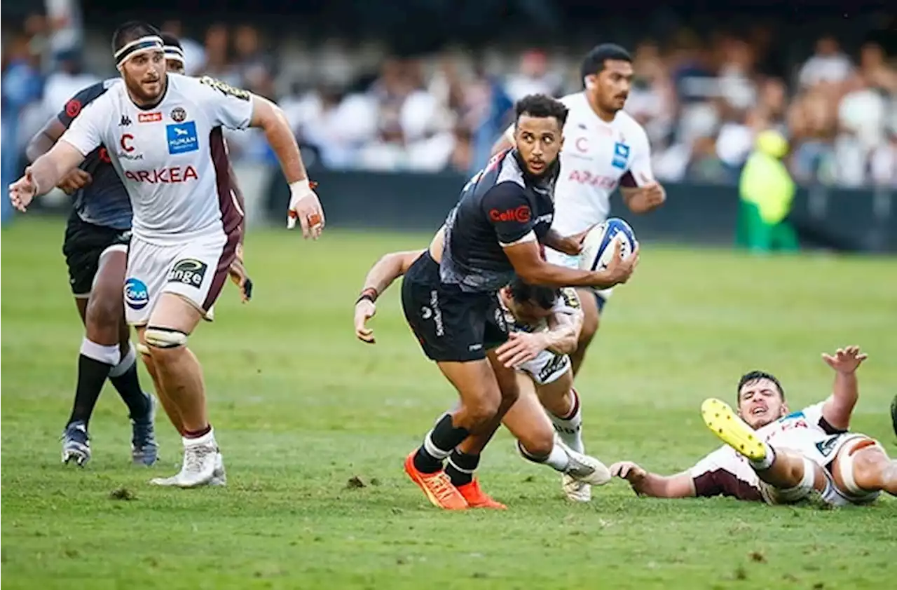 5 talking points | Champions Cup Round 3: Sharks' Boks make a world of difference | Sport