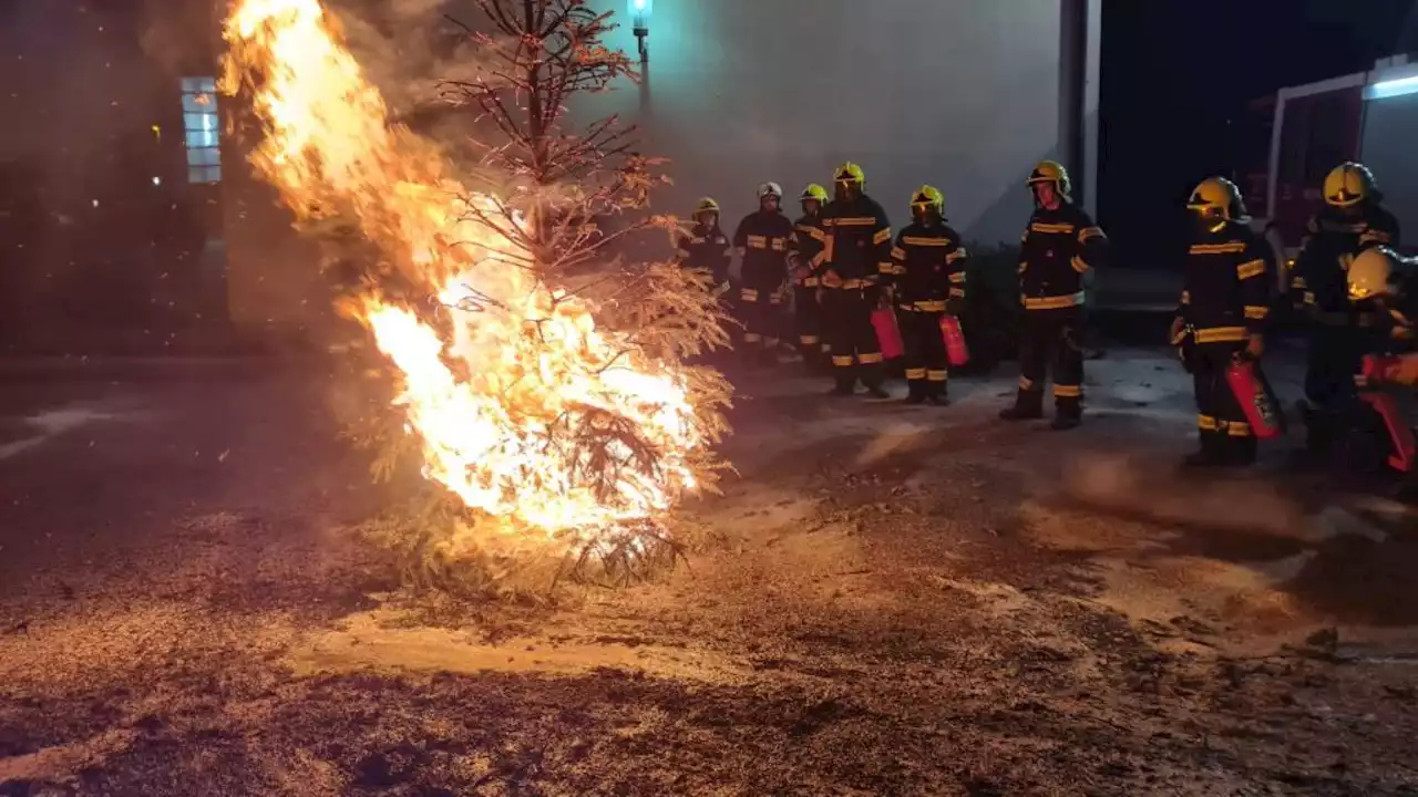 Hainburg/Donau: Wie schnell ein Christbaum in Flammen steht