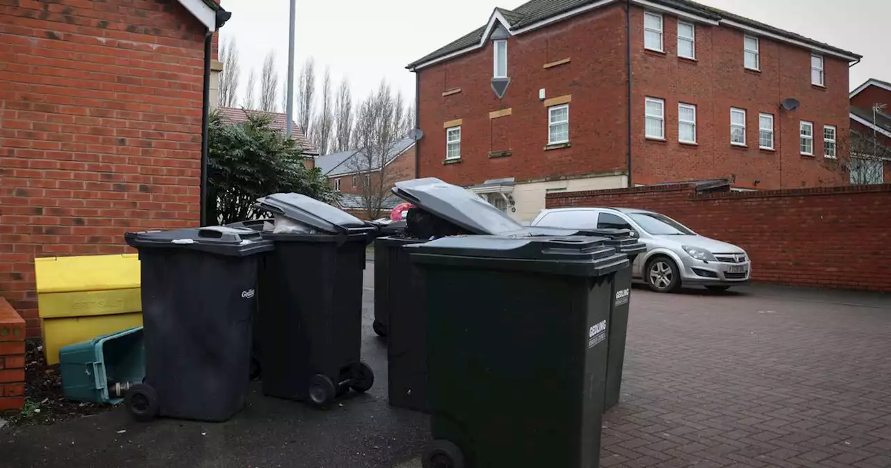 Housing issues 'getting worse' after bins were left unemptied