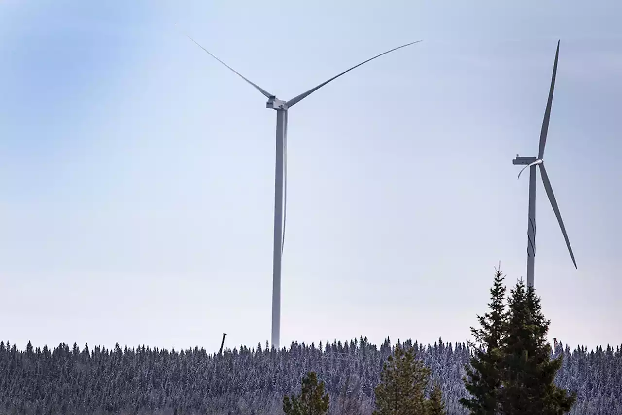 Tillfälligt stopp för vindkraftsplaner efter misstankar om jäv