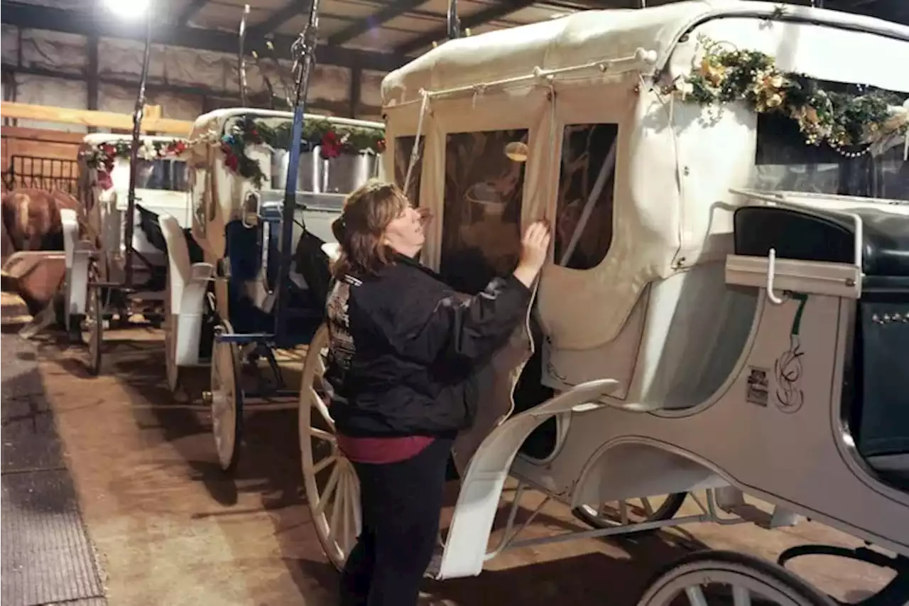 Philadelphia’s last carriage company cleared out its stables, but are its tours returning?