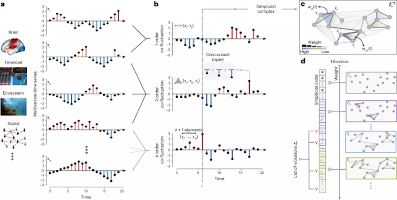 Higher-order organization of multivariate time series - Nature Physics