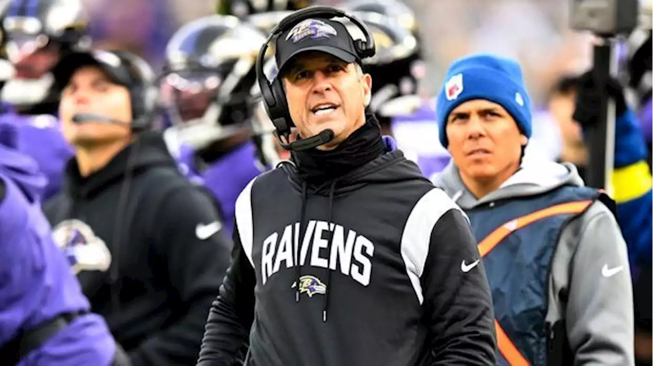 NFL - Baltimore Ravens: Head Coach Harbaugh von Interview-Fragen genervt