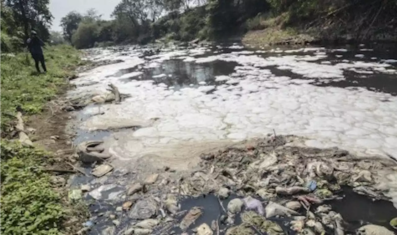 DLH Kabupaten Bekasi Angkut Puluhan Ton Sampah di Sungai Cikarang Hilir |Republika Online