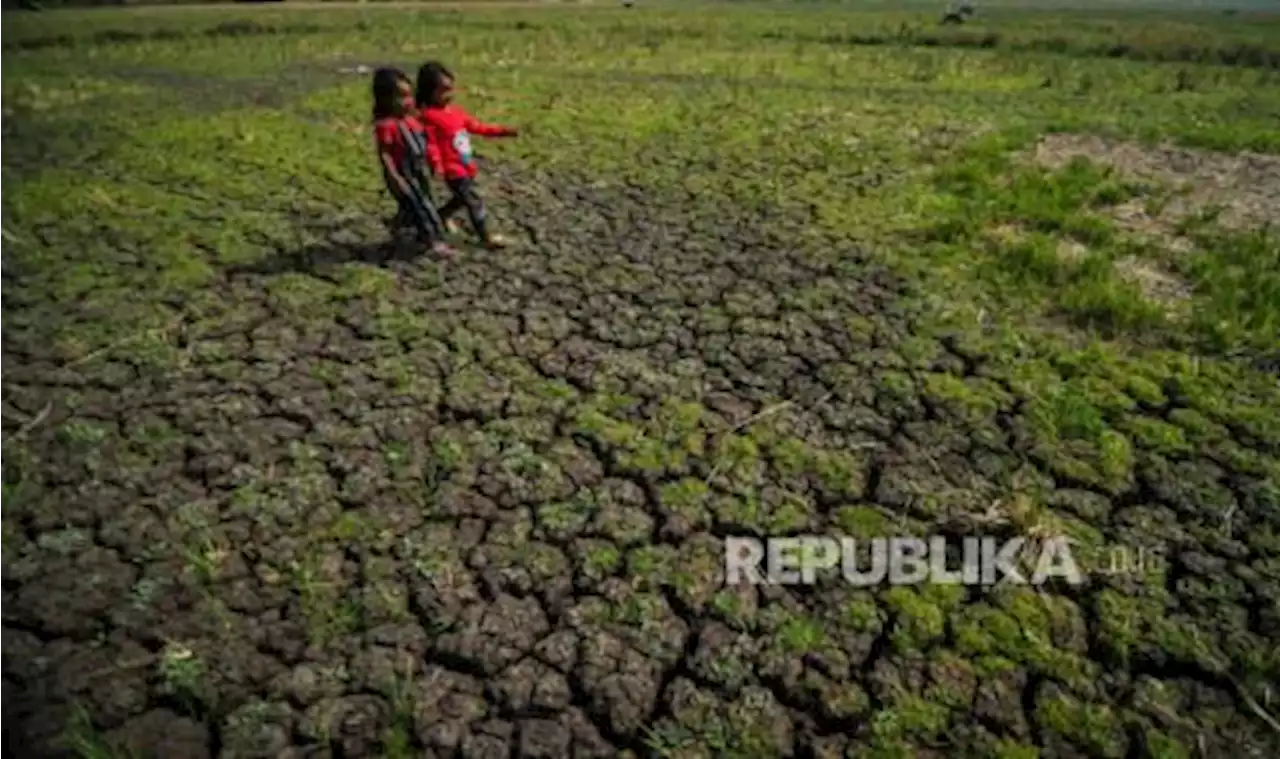 Waspada |em| El Nino|/em|, Kementan Antisipasi Potensi Kemarau Ekstrem |Republika Online