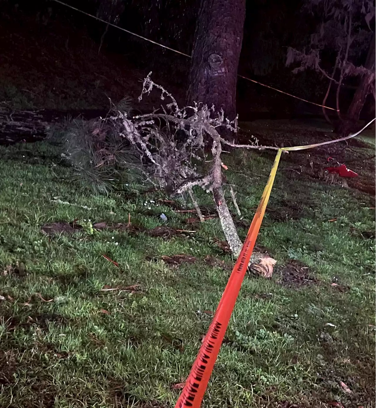 Woman found dead next to fallen tree branch in Golden Gate Park