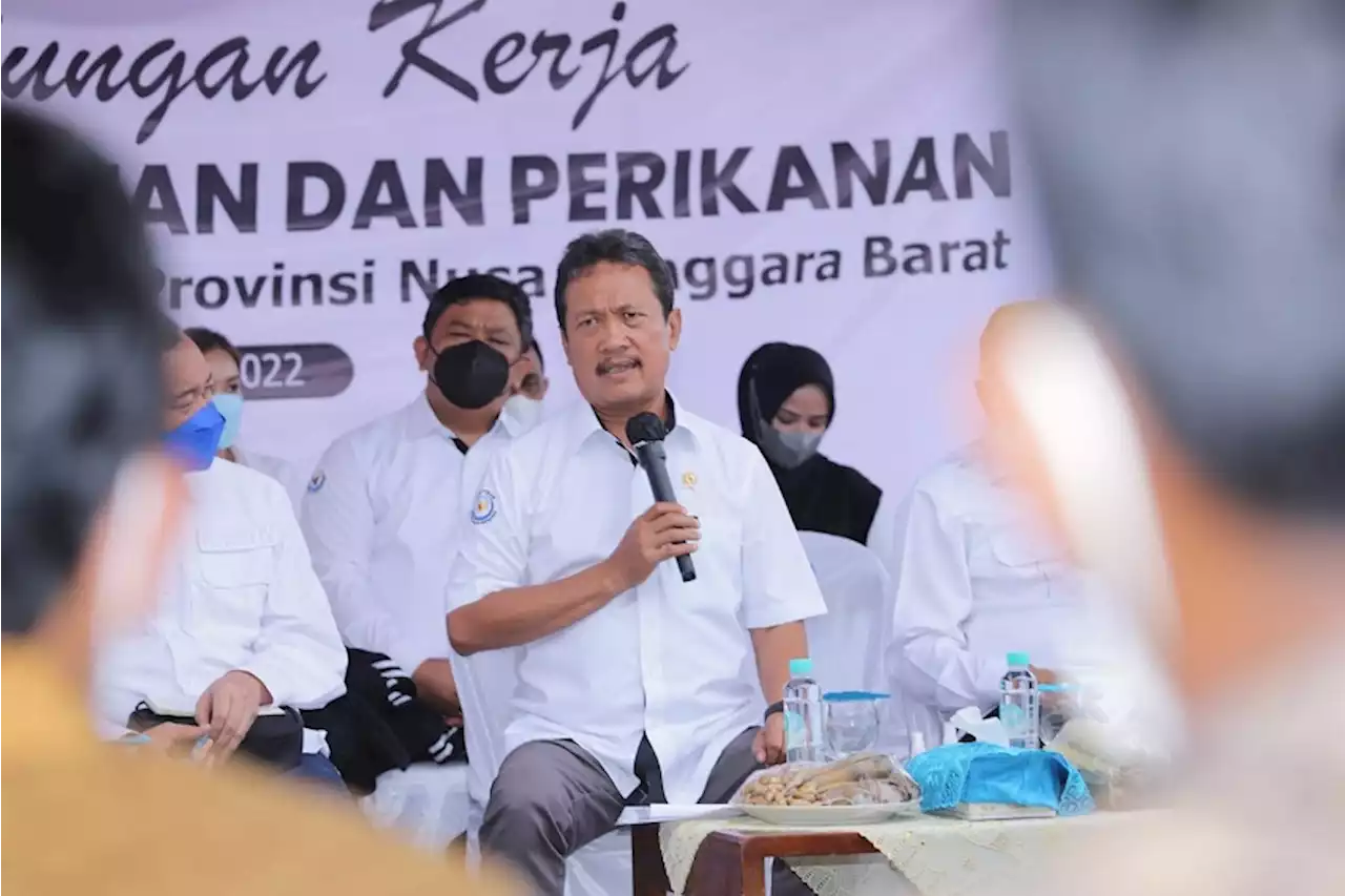 Menteri KKP Respons Tuntutan Nelayan Soal Penurunan PNBP