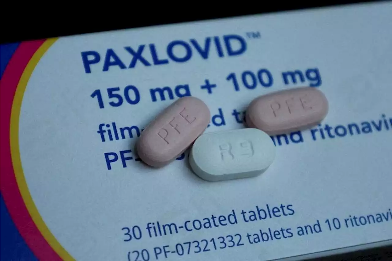 In China, no easy way to get Pfizer's Covid-19 drug Paxlovid