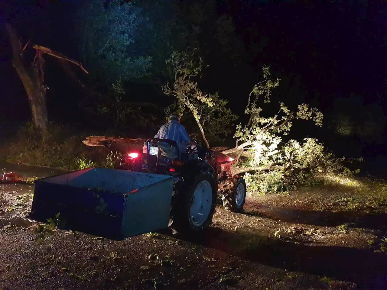 Rafales de vent en Dordogne : des arbres sur les routes et des foyers privés d’électricité