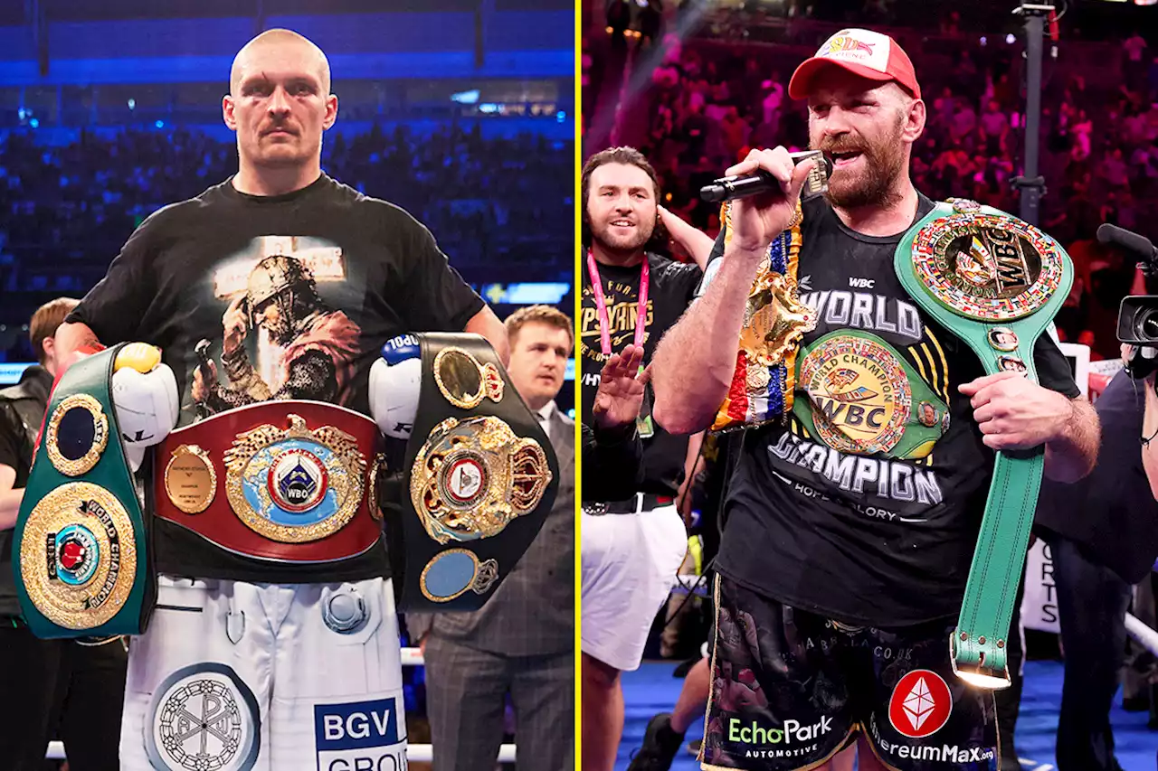 Ricky Hatton says Tyson Fury is 'so much better in every area' than Oleksandr Usyk