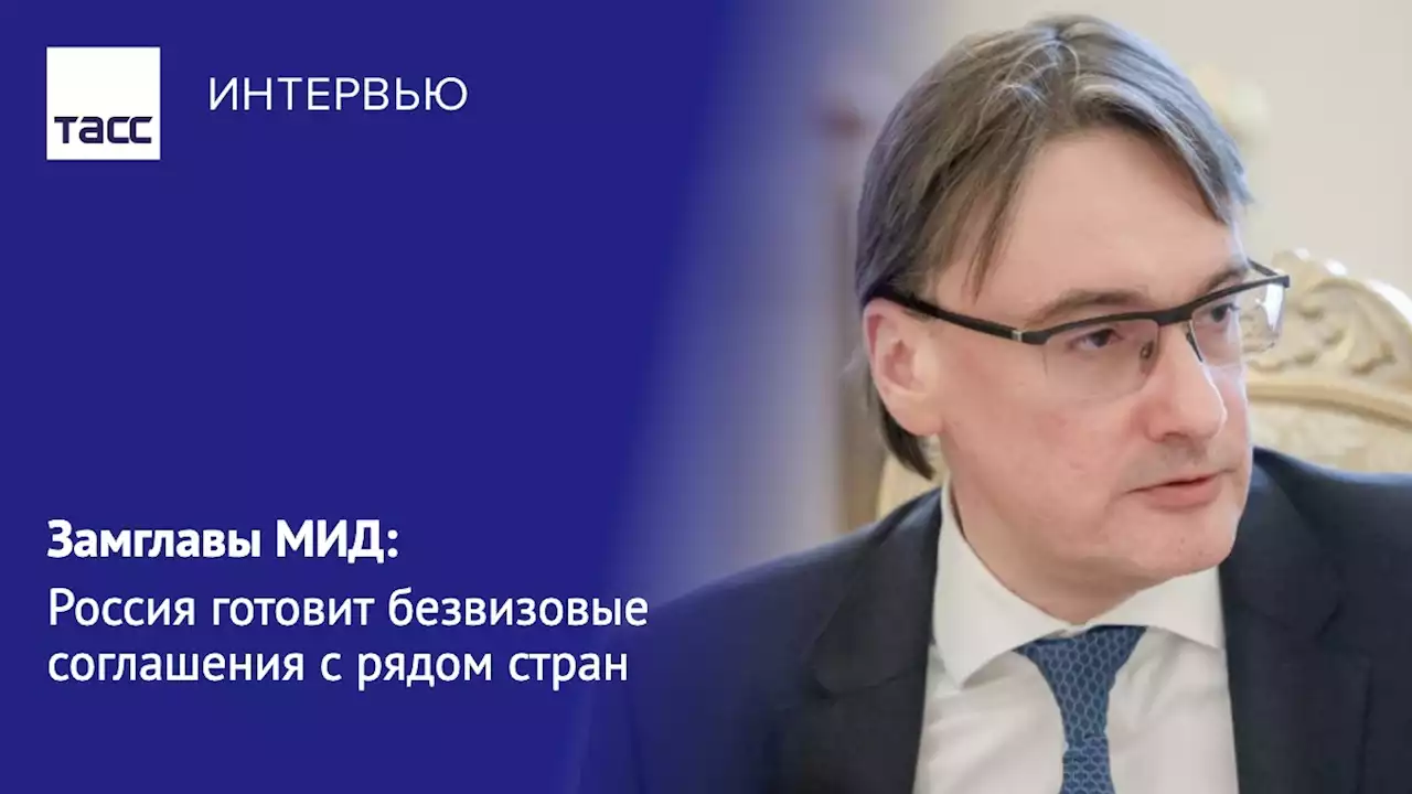 Замглавы МИД: Россия готовит безвизовые соглашения с рядом стран - Интервью ТАСС