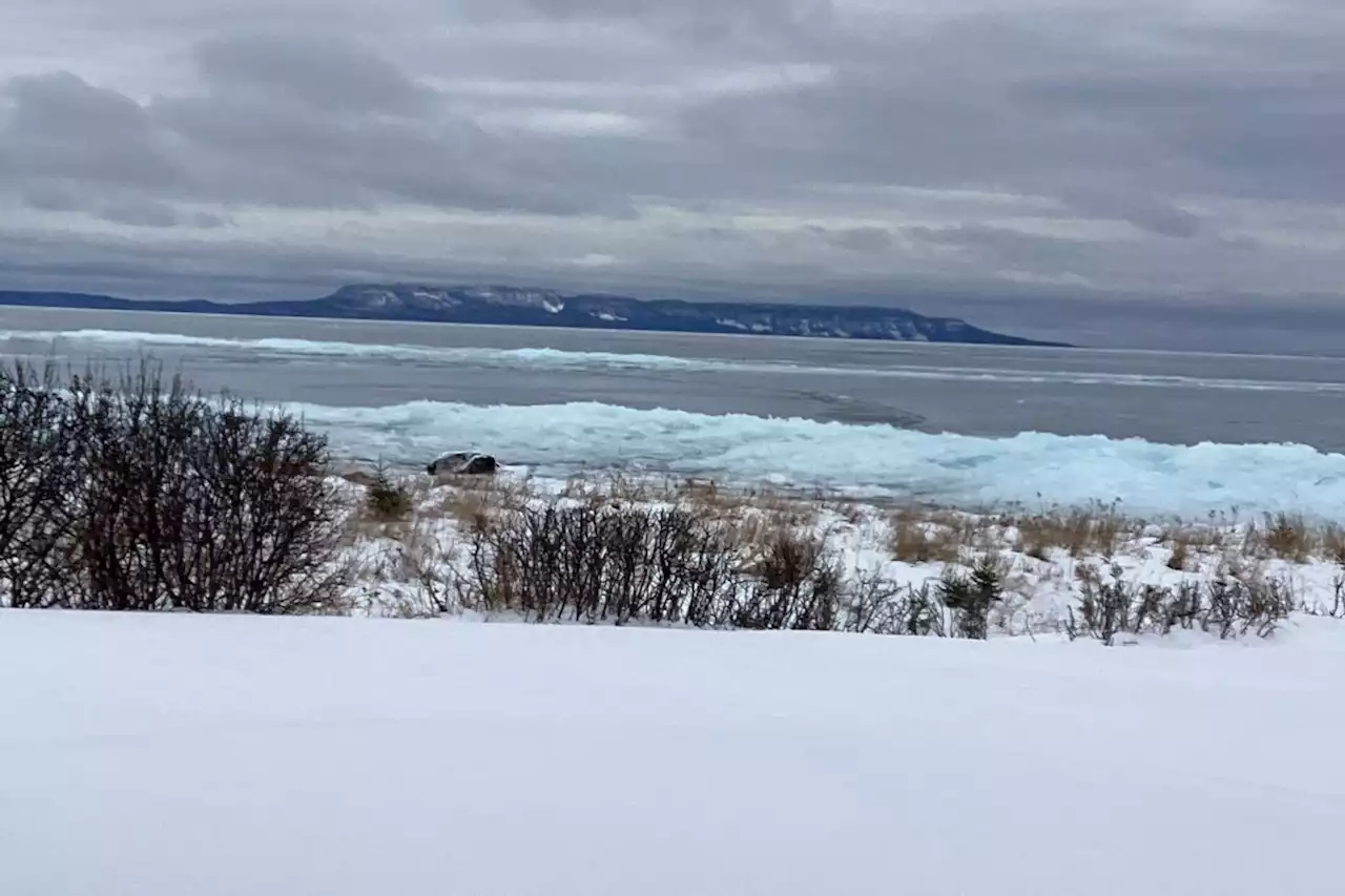 Good Morning, Thunder Bay