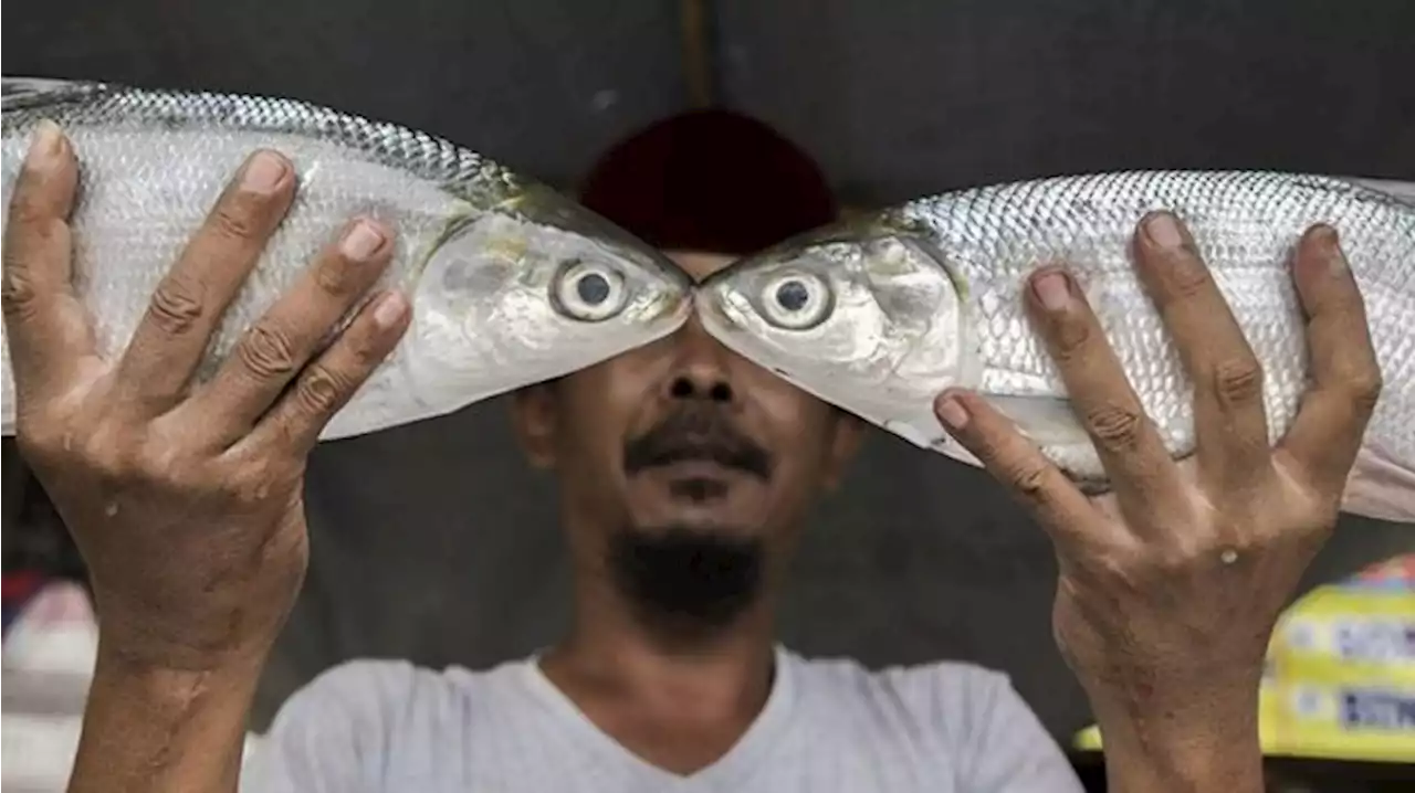 Jadi Hidangan Imlek, Ini Resep Mudah Membuat Kerupuk Tulang Ikan Bandeng