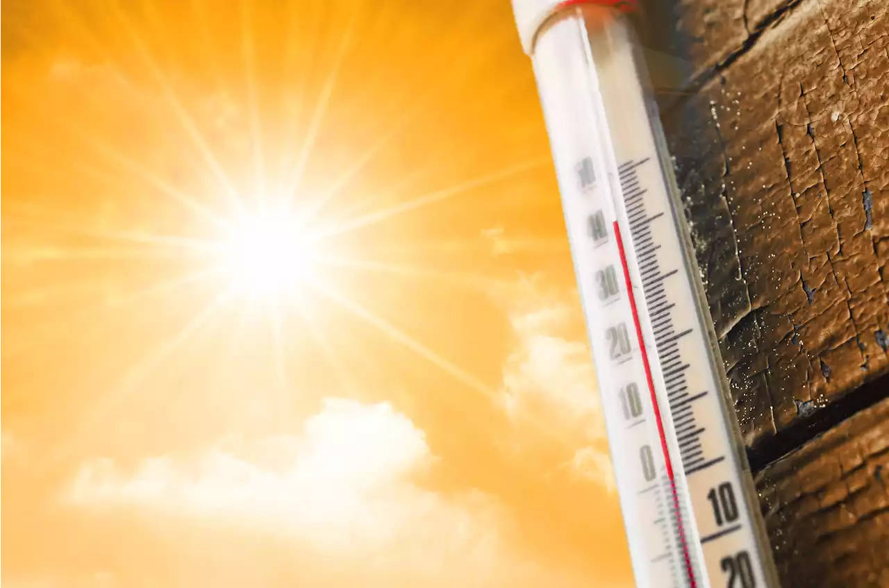 Heatwave to persist in Eastern Cape and KZN until Thursday | The Citizen