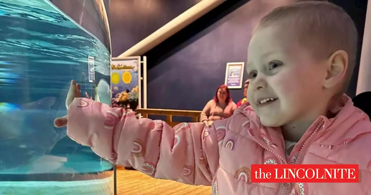 Fundraiser for terminally ill toddler's Disneyland dream hits £33k in two days