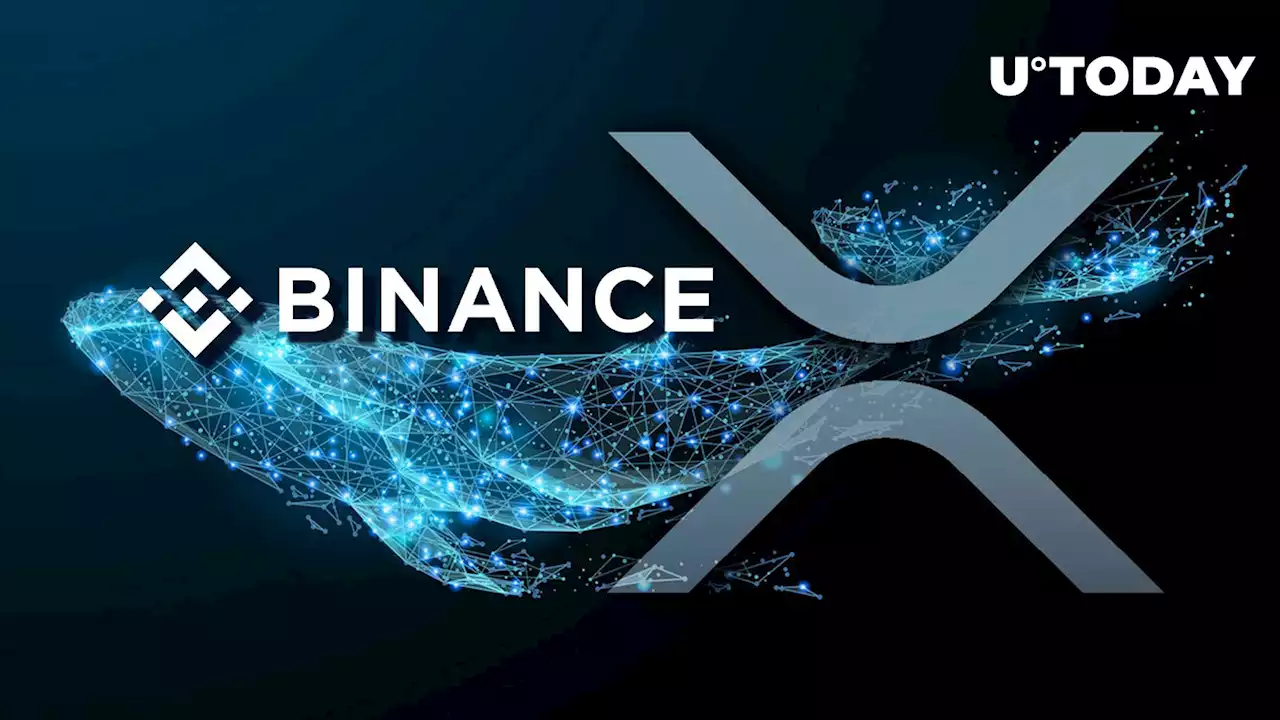 Close to Half Billion XRP Wired by Binance and Whales as XRP Jumps into Green: Details