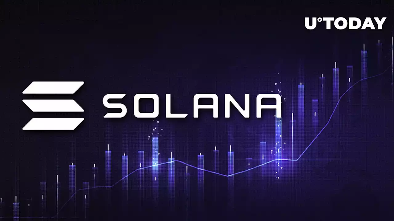 Solana Revives Major Investors' Interest after SOL Soars 133%