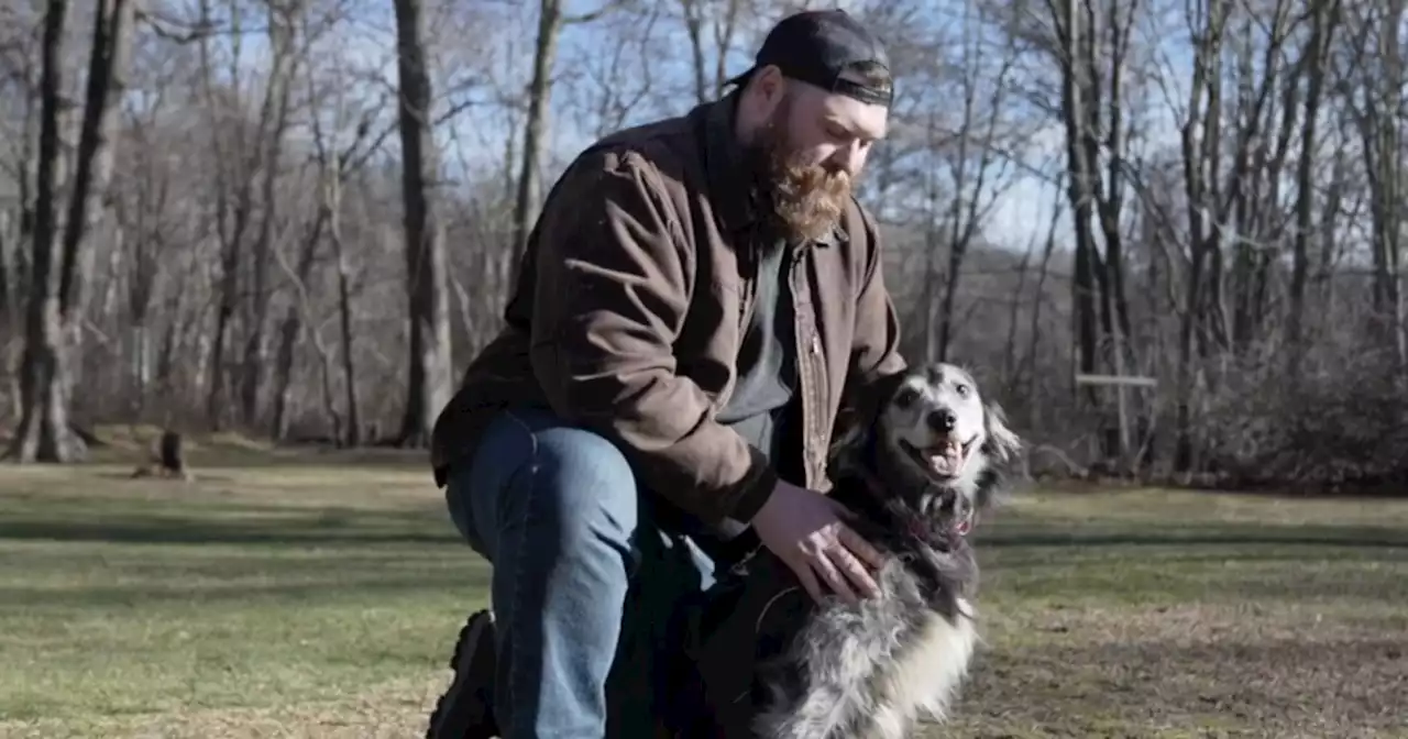 Could dogs be the key to curing childhood cancer?