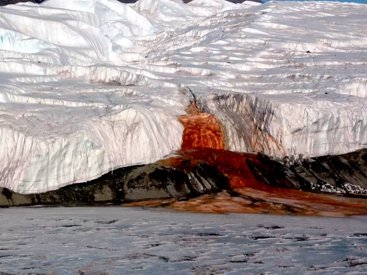 Blood Falls gushes red water from Antarctica's ice. It took scientists 106 years to figure out what causes its color.